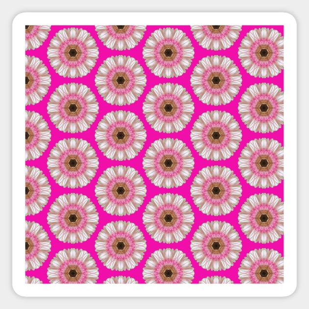 Pink gerbera on bright pink Sticker by bettyretro